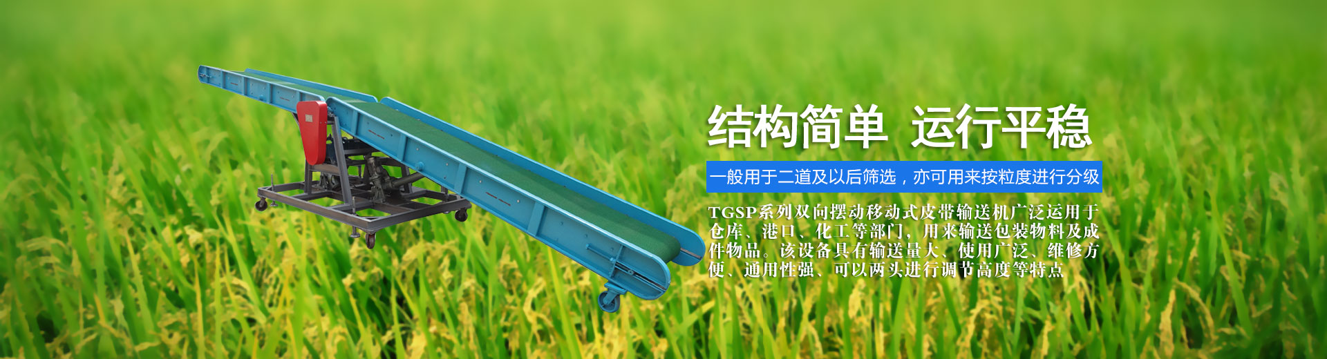 自動化大型滴丸機